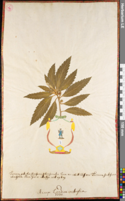 LE 01052300