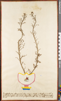 LE 01052708