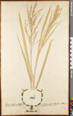LE 01052720
