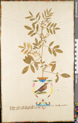 LE 01052741
