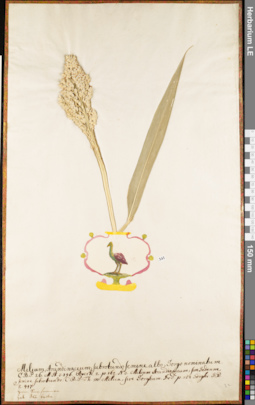 LE 01052743