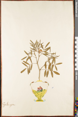 LE 01052745