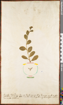 LE 01052747