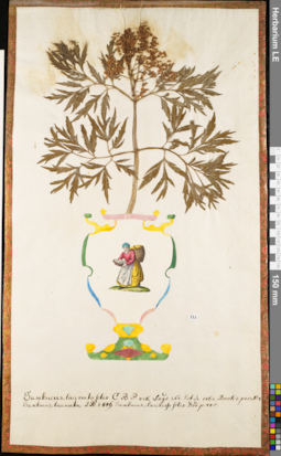 LE 01052750