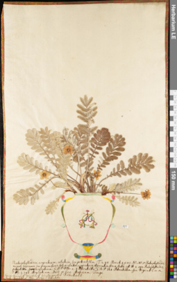 LE 01052754