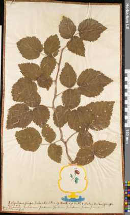LE 01052758