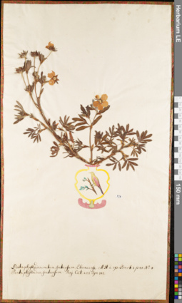 LE 01052759