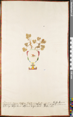 LE 01052771