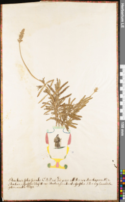 LE 01052874
