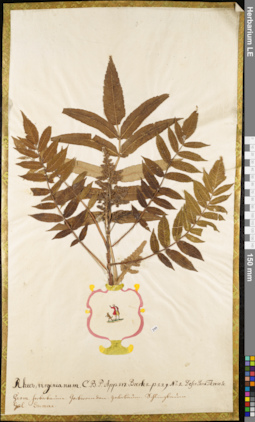 LE 01052875