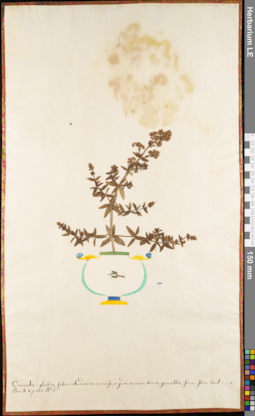 LE 01052887