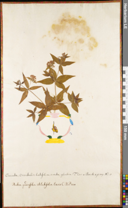 LE 01052889