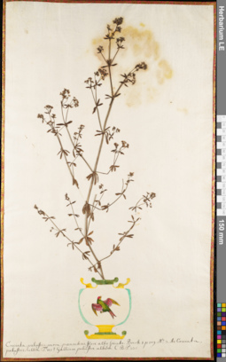 LE 01052891
