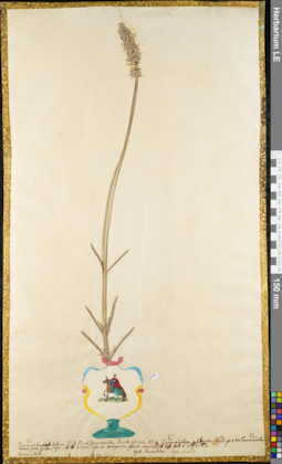 LE 01052895