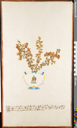LE 01052917