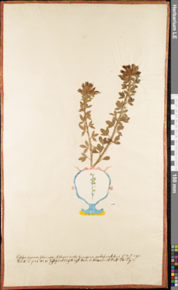 LE 01052919