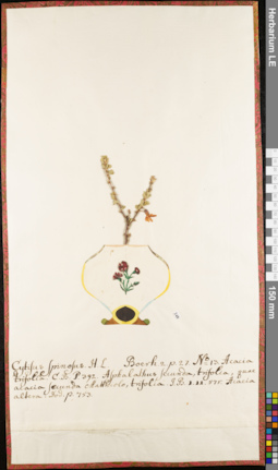 LE 01052920