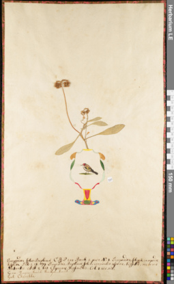 LE 01052943