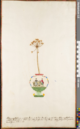 LE 01052956