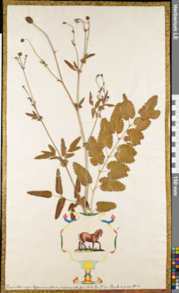 LE 01052969