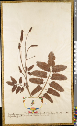 LE 01052975