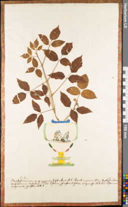 LE 01052992