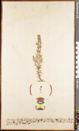 LE 01052994