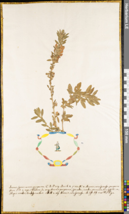 LE 01062529