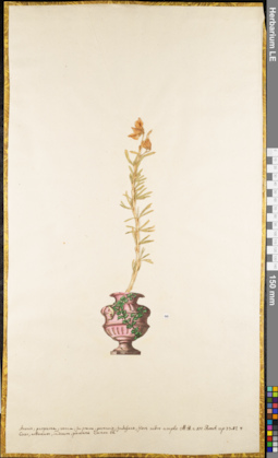 LE 01062530