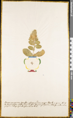 LE 01062531