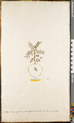 LE 01062537