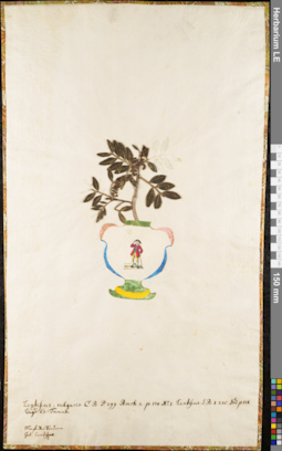 LE 01062538