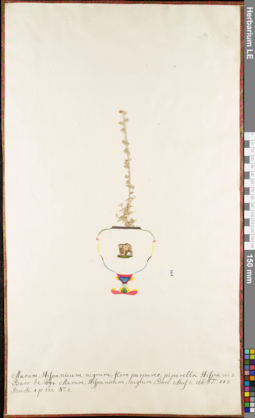 LE 01062541