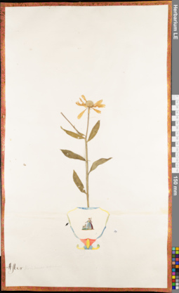 LE 01062565