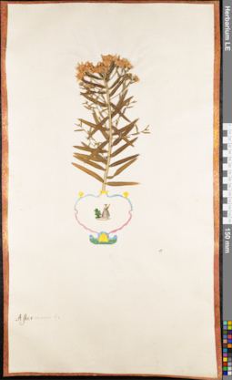 LE 01062566