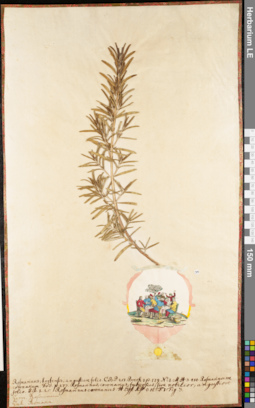 LE 01062579