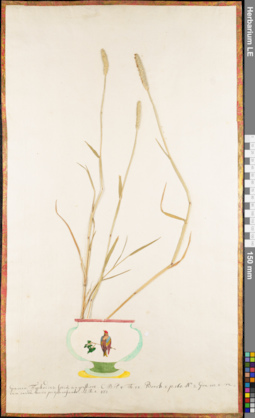 LE 01062593