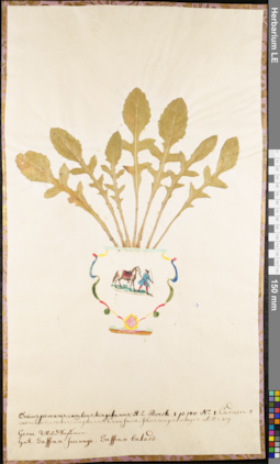 LE 01062594