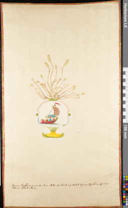 LE 01062597