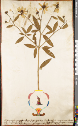 LE 01062630