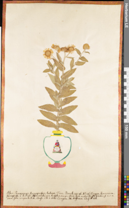 LE 01062636