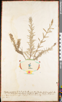 LE 01062643