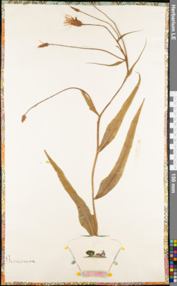 LE 01062646