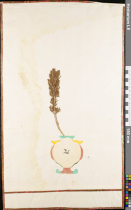 LE 01062649