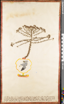 LE 01062665