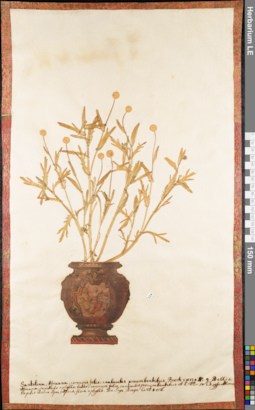 LE 01062670