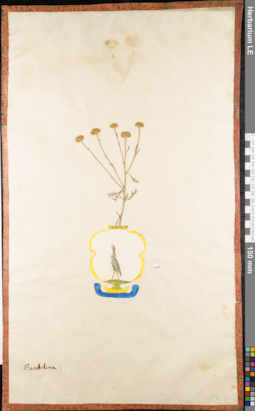 LE 01062671