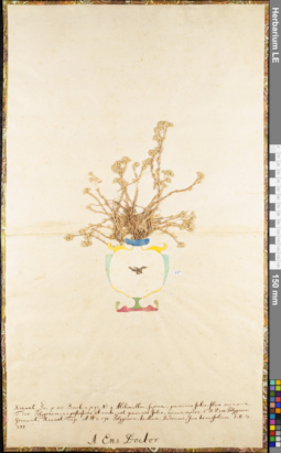 LE 01062673