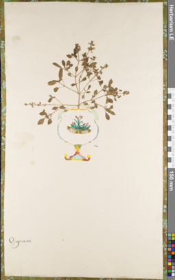 LE 01062694