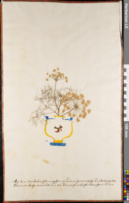 LE 01062698
